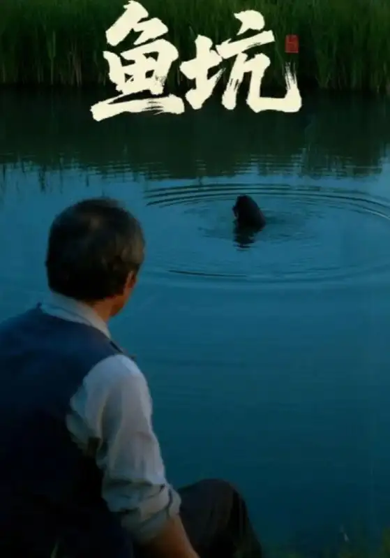 短剧《鱼坑》完整版免费观看全集