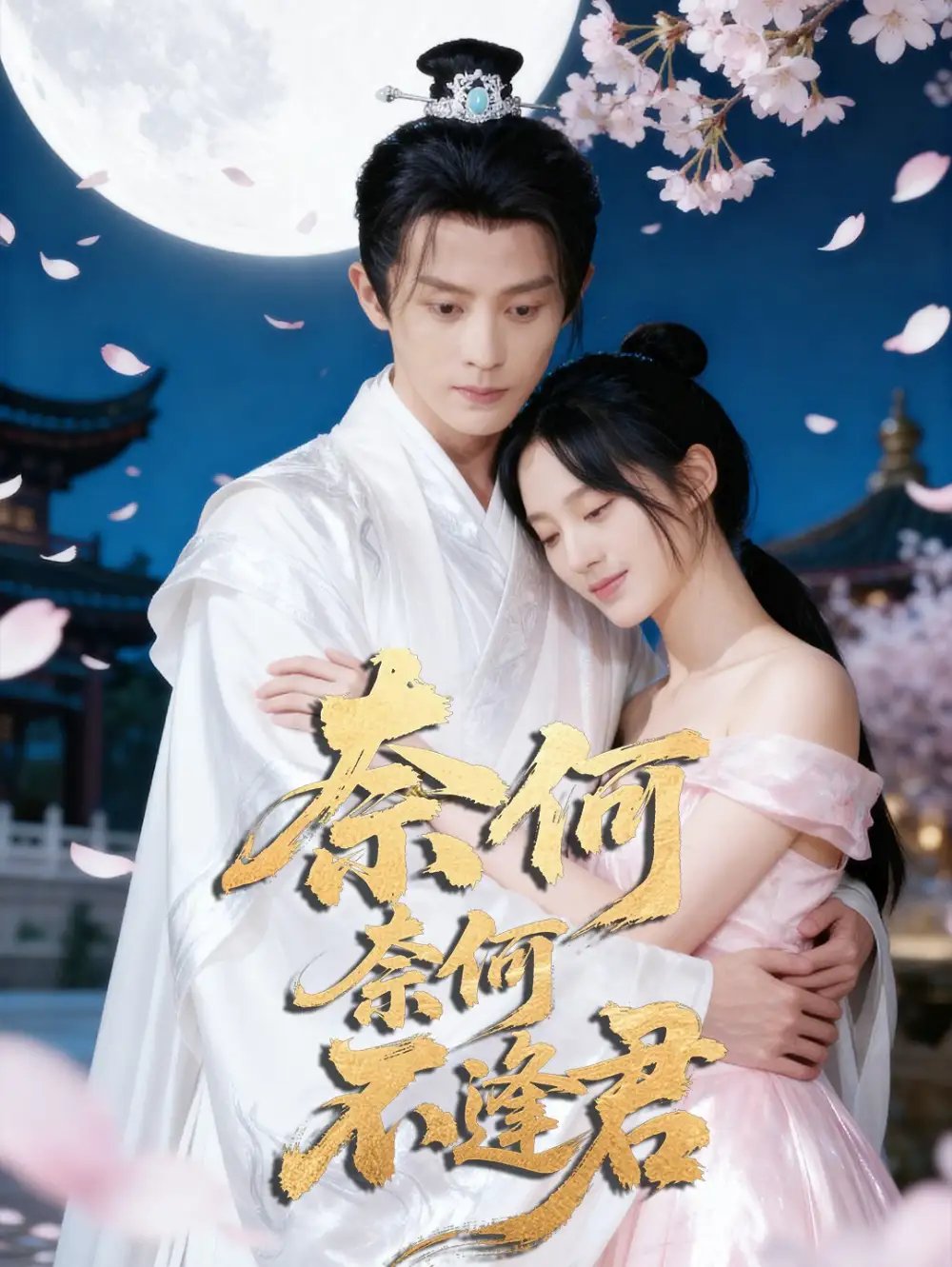 短剧《奈何奈何不逢君》完整版免费观看全集