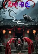 短剧《灵蛇报恩》完整版免费观看全集