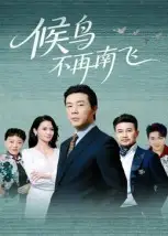 短剧《候鸟不再南飞》完整版免费观看全集