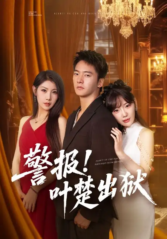 警报!叶楚出狱(80集)朱新辉&常文景高清海报图片 警报!叶楚出狱(80集)朱新辉&常文景海报