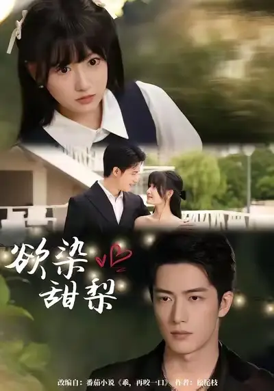 欲染甜梨（63集）李咏婧＆焦睿海报