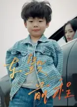 短剧《车毁前程》完整版免费观看全集