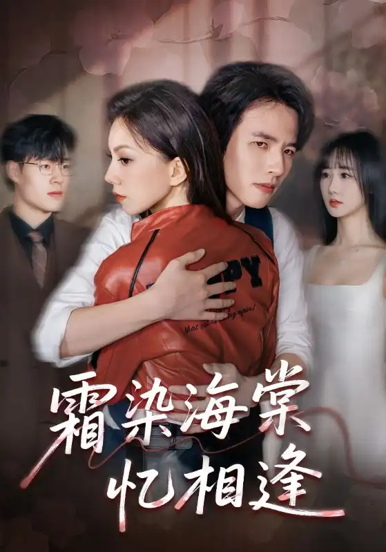 短剧《霜染海棠忆相逢》完整版免费观看全集