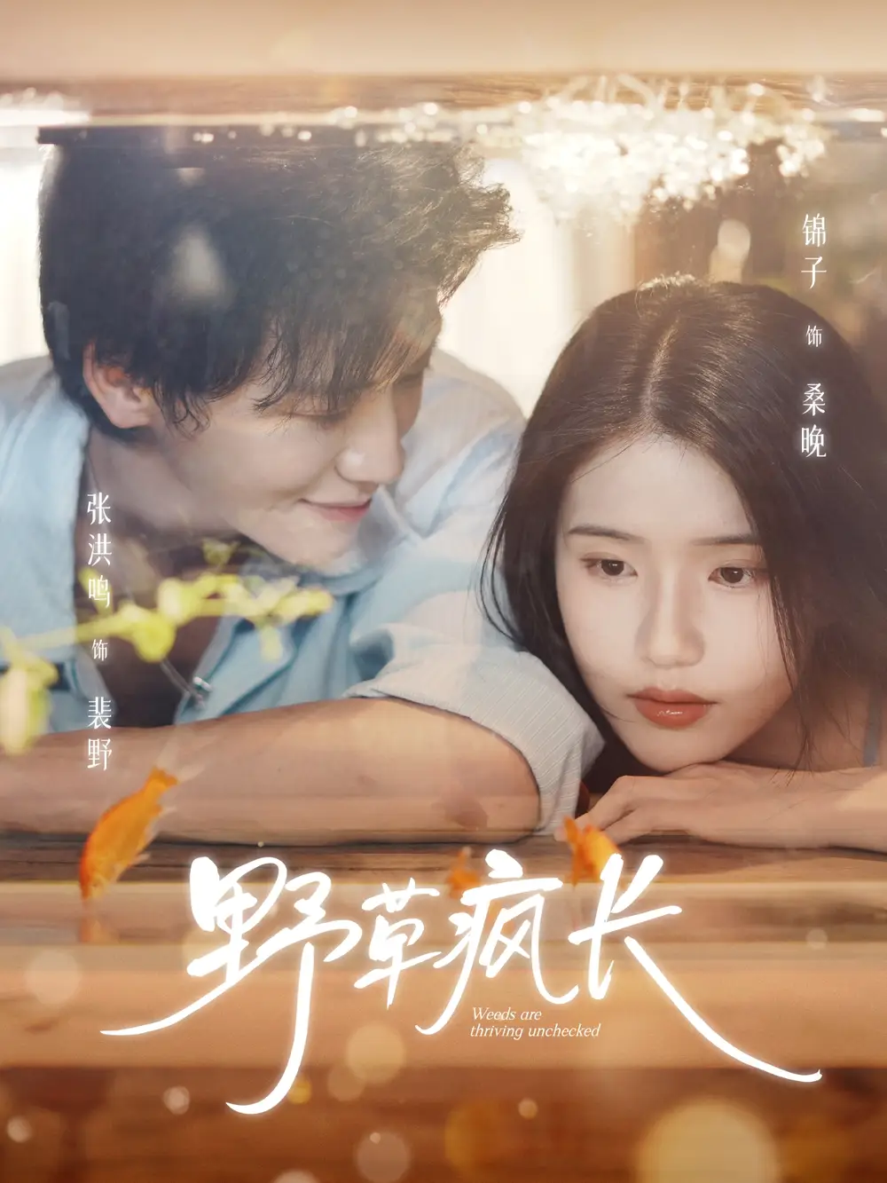 短剧《野草疯长》完整版免费观看全集