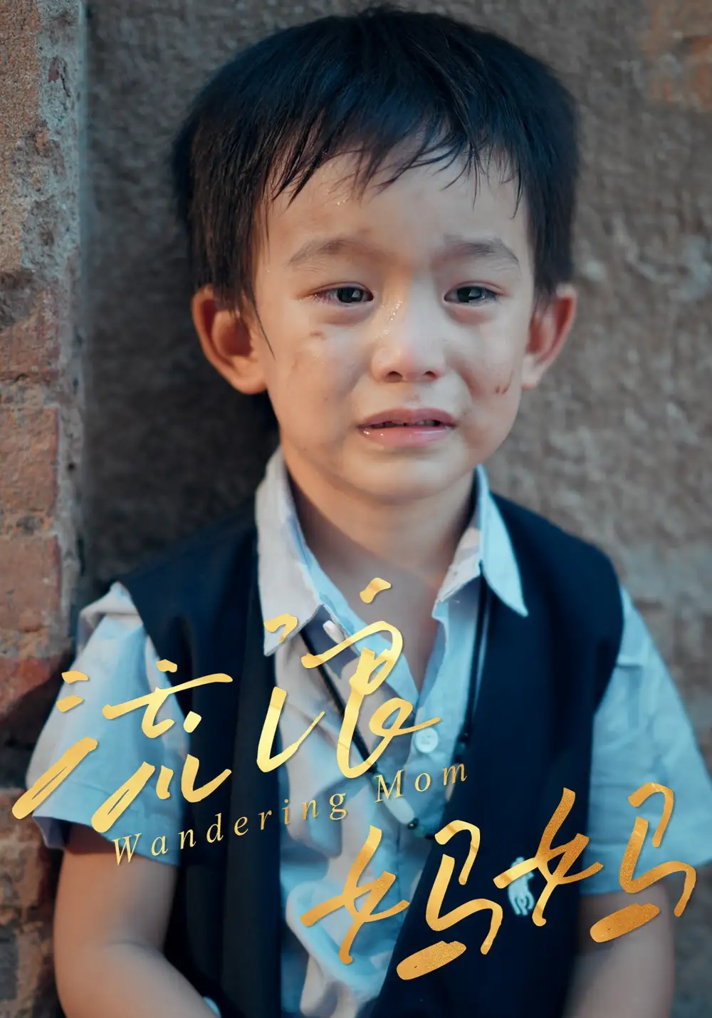 短剧《流浪妈妈》完整版免费观看全集