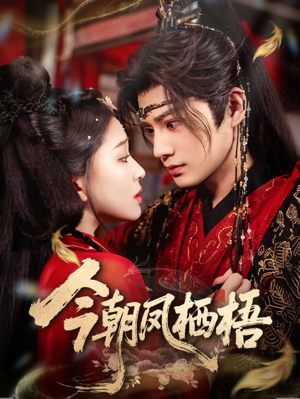 短剧《今朝凤栖梧》完整版免费观看全集