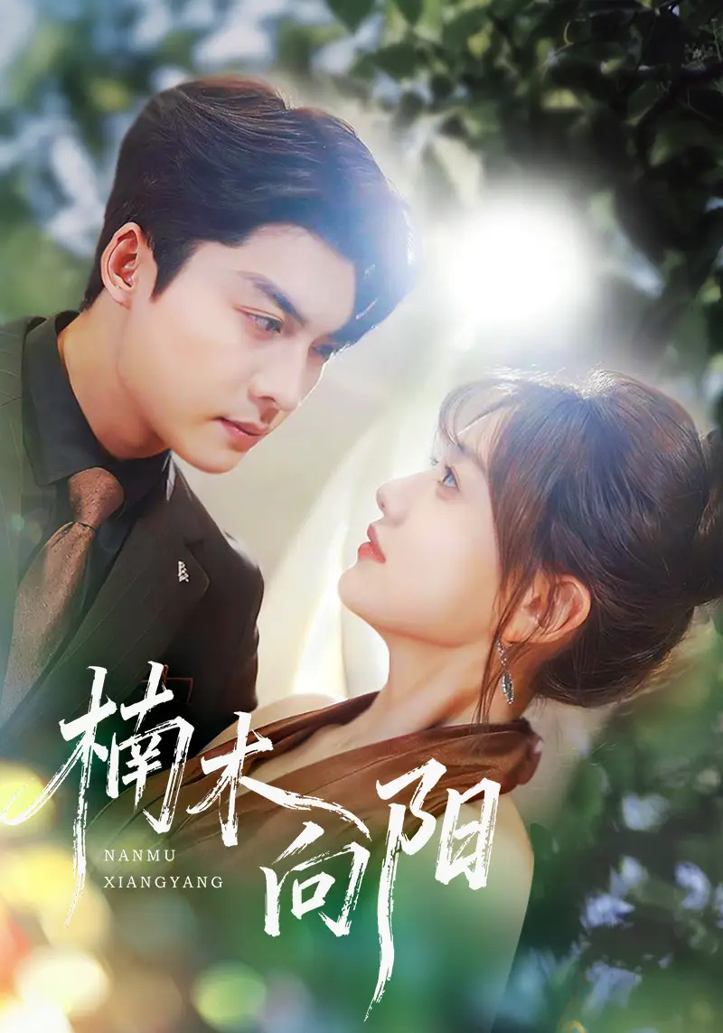 短剧《楠木向阳》完整版免费观看全集