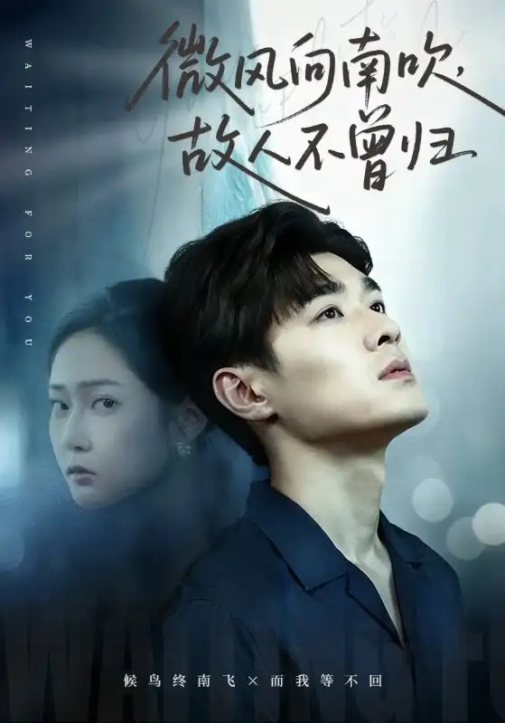短剧《微风向南吹，故人不曾归》完整版免费观看全集