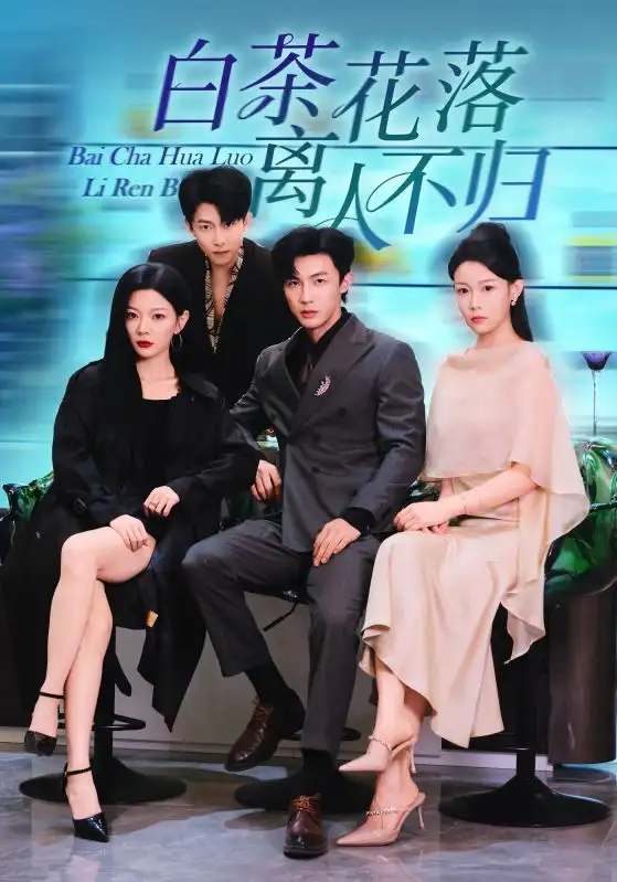 短剧《白茶花落离人》完整版免费观看全集