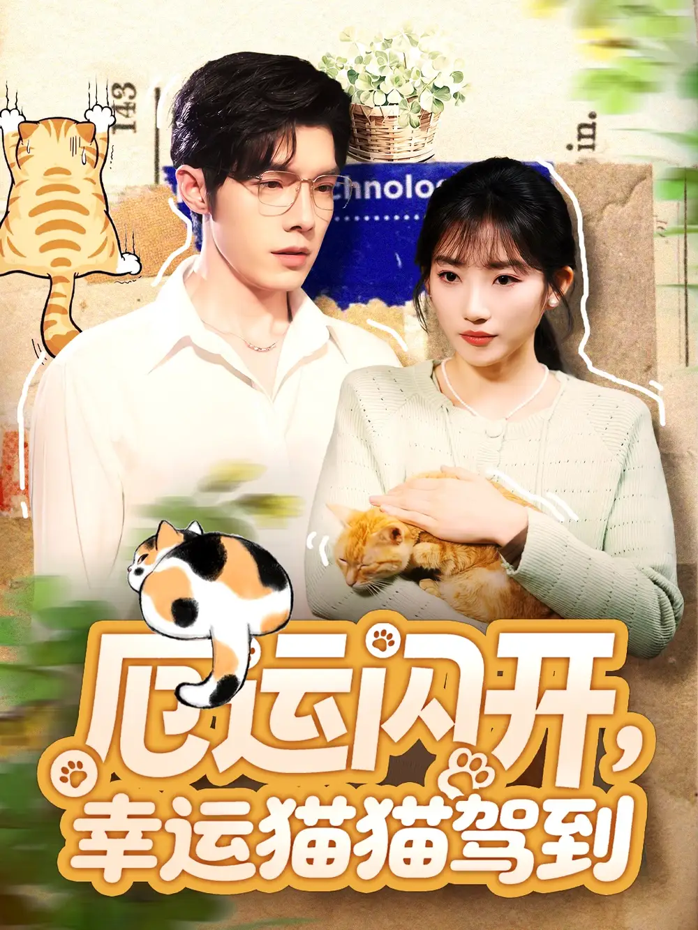 短剧《厄运闪开，幸运猫猫驾到》完整版免费观看全集