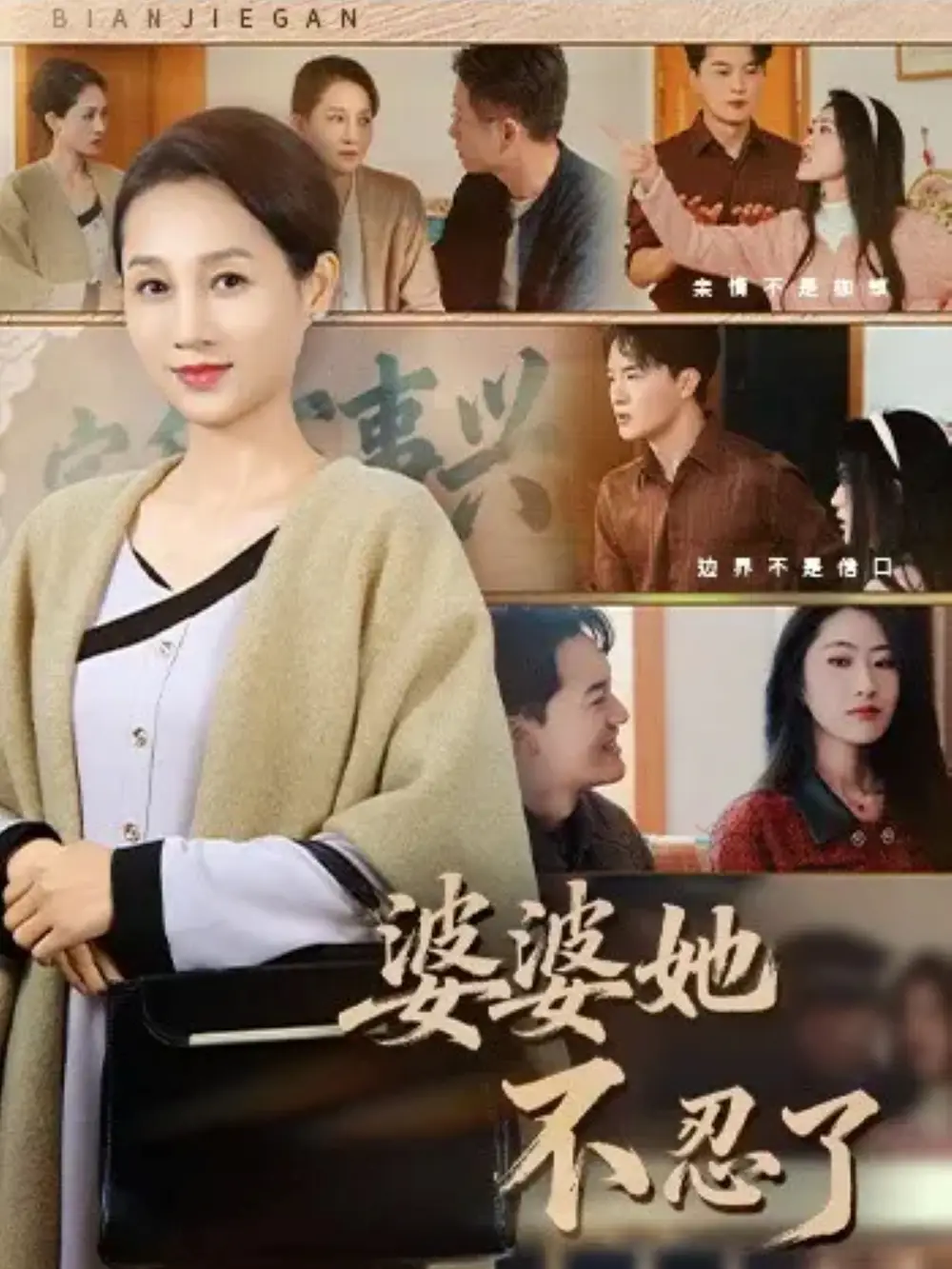 婆婆她不忍了（71集）王政＆任涵海报