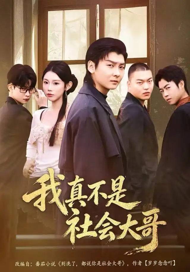 短剧《我真不是社会大哥》完整版免费观看全集