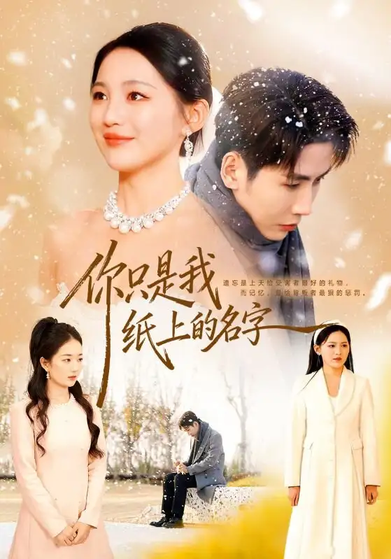 短剧《你只是我纸上的名字》完整版免费在线观看